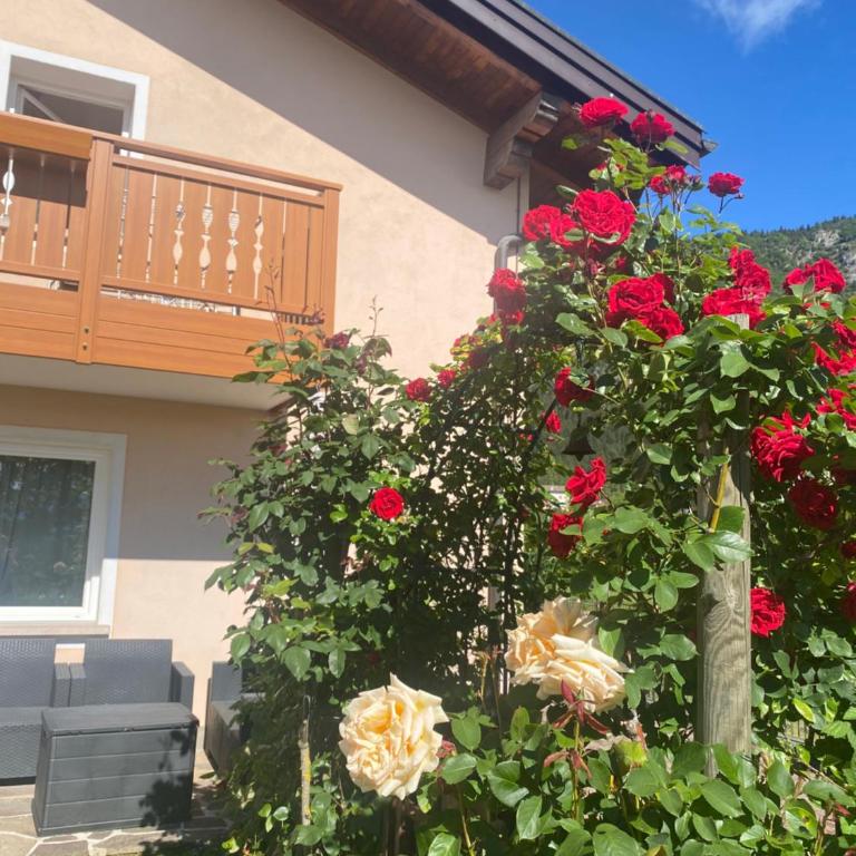 Casa Pallanch - Appartement 2 Chambres - 34