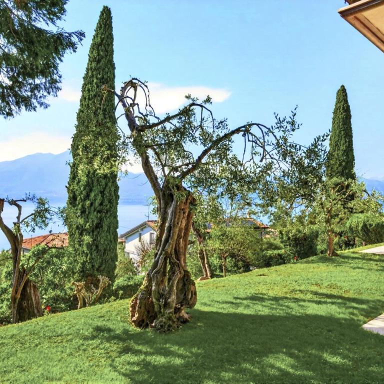 Apartment in Villa Vera Torri del Benaco - Villa con 2 Camere da Letto - 49
