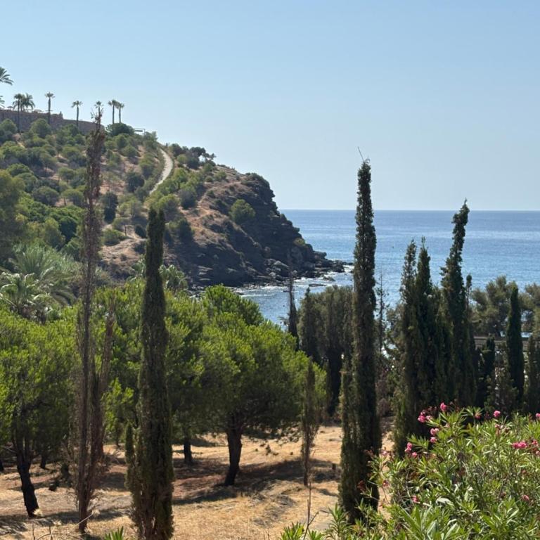 LOVPLAYA Almuñecar Beach Apartment - Apartamento - 28