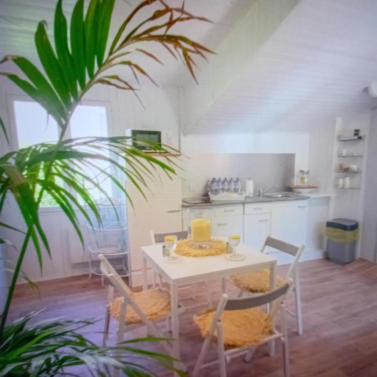 Chic Villa Webb Cannes - Villa 3 Chambres - 3