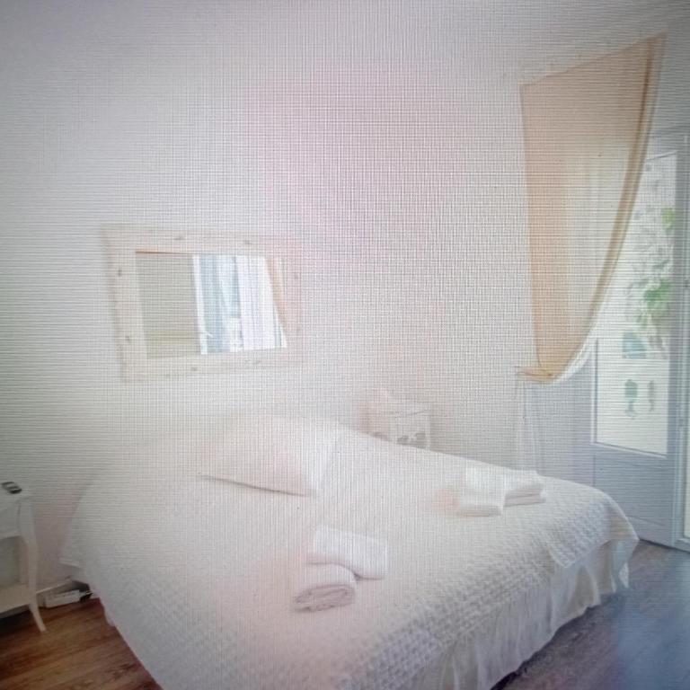 Chic Villa Webb Cannes - Villa 3 Chambres - 13