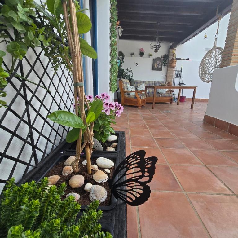 Ático Mirador Vista Alegre SMC - One-Bedroom Apartment - 1