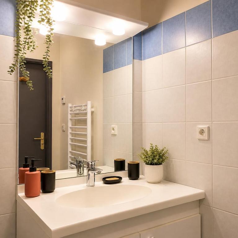 Le Jardin de Coquelicots T2 avec jardin et parking - Appartement 1 Chambre - 10