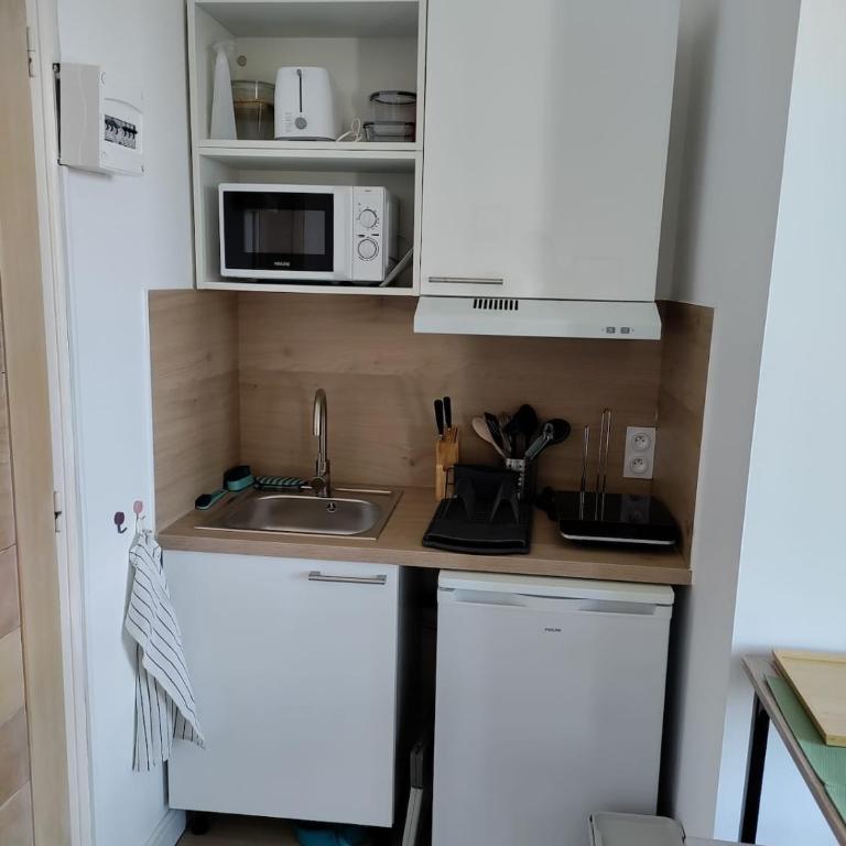 studio entièrement équipé avec balcon et accès jardin - Apartment mit 1 Schlafzimmer - 3