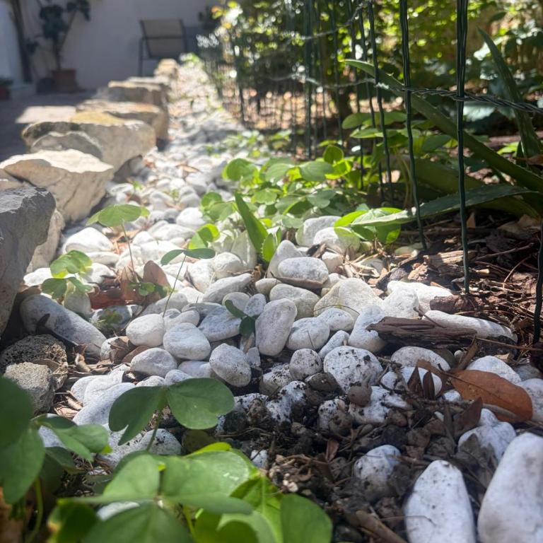 Il Giardino Nascosto - Appartamento con 2 Camere da Letto - 4