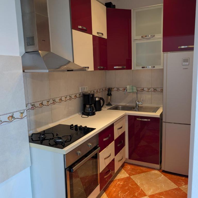Villa Apartmani Anja - Apartman sa 1 Spavaćom Sobom - 14