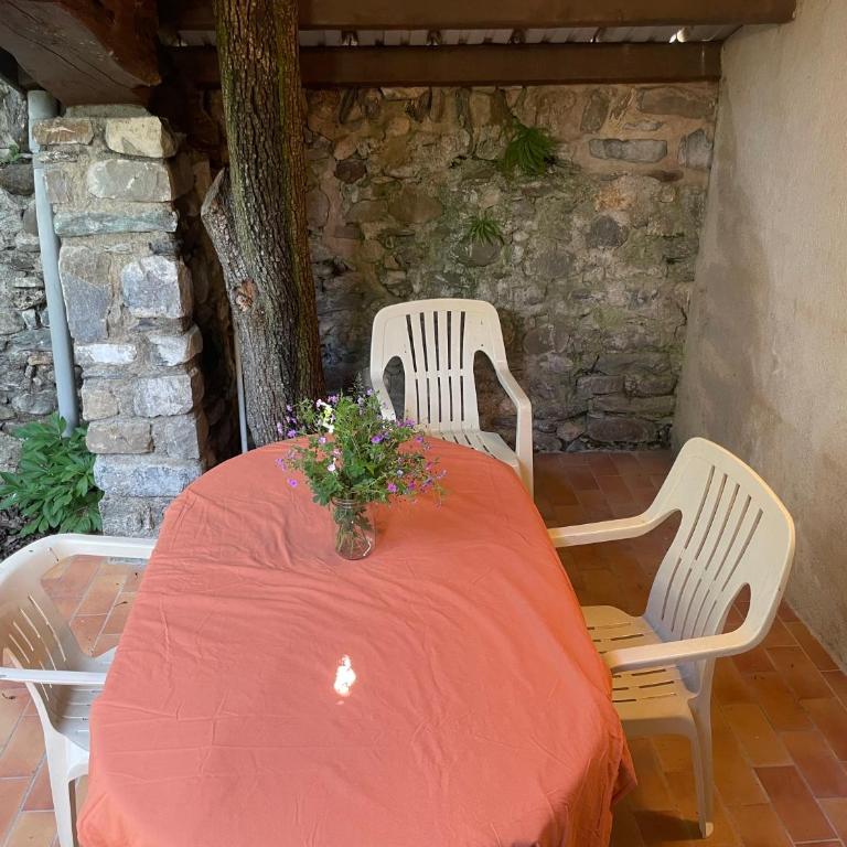 Studio Jardin - Appartement 1 Chambre - 2