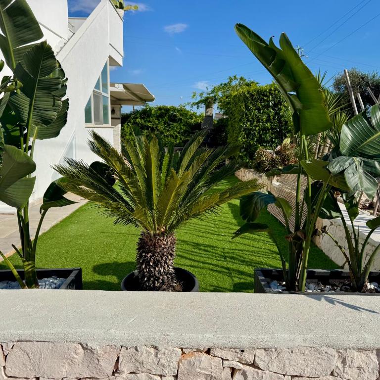 Villa 32 Ostuni - Charming House with Pool - Villa with Private Pool - 62