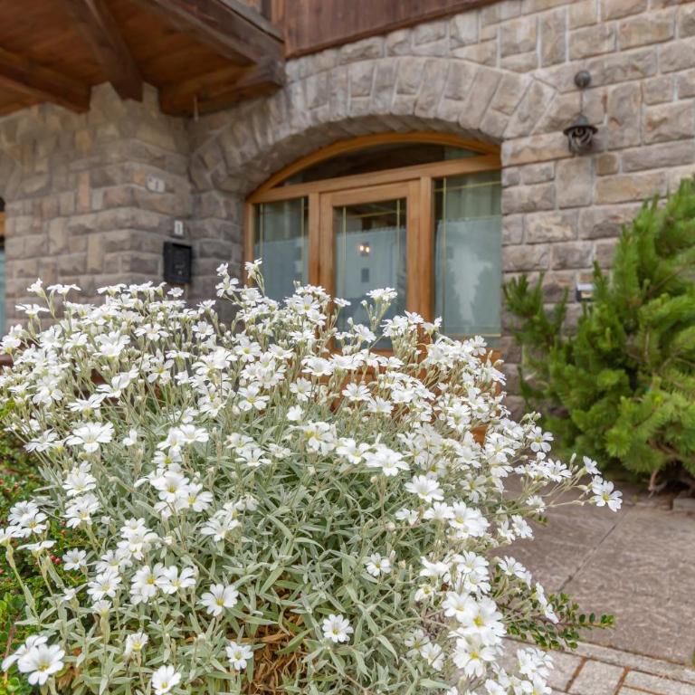 Woodstone Lodge - Appartamento con 2 Camere da Letto e con Vista Montagna - 18