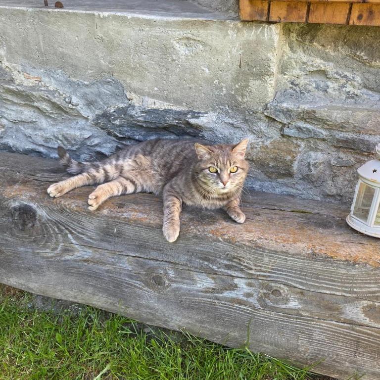 Casetta in Val di Rhemes - Casa con 2 Camere da Letto - 42
