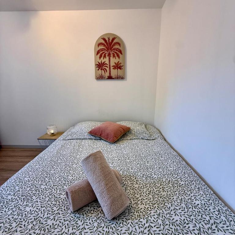 Le Color Pop Wi-Fi Centre ville - Appartement 1 Chambre - 4