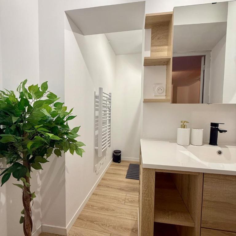 Le Color Pop Wi-Fi Centre ville - Appartement 1 Chambre - 8