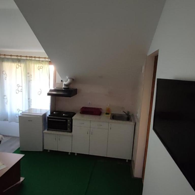 Apartmani Mir - Apartman sa 1 Spavaćom Sobom - 4