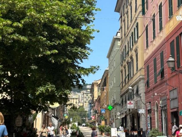 Cittadella 3 - One-Bedroom Apartment - 28