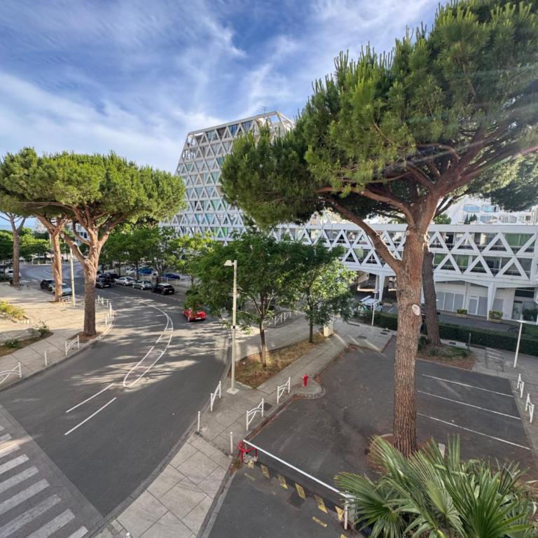 Studio cosy 30 m2 climatisé au centre ville de LGM - Apartment mit 2 Schlafzimmern - 11