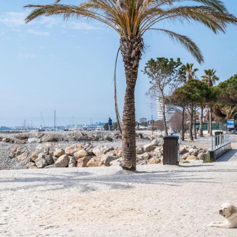 Petit cocon avec accès direct à la plage ! - Appartement - 11