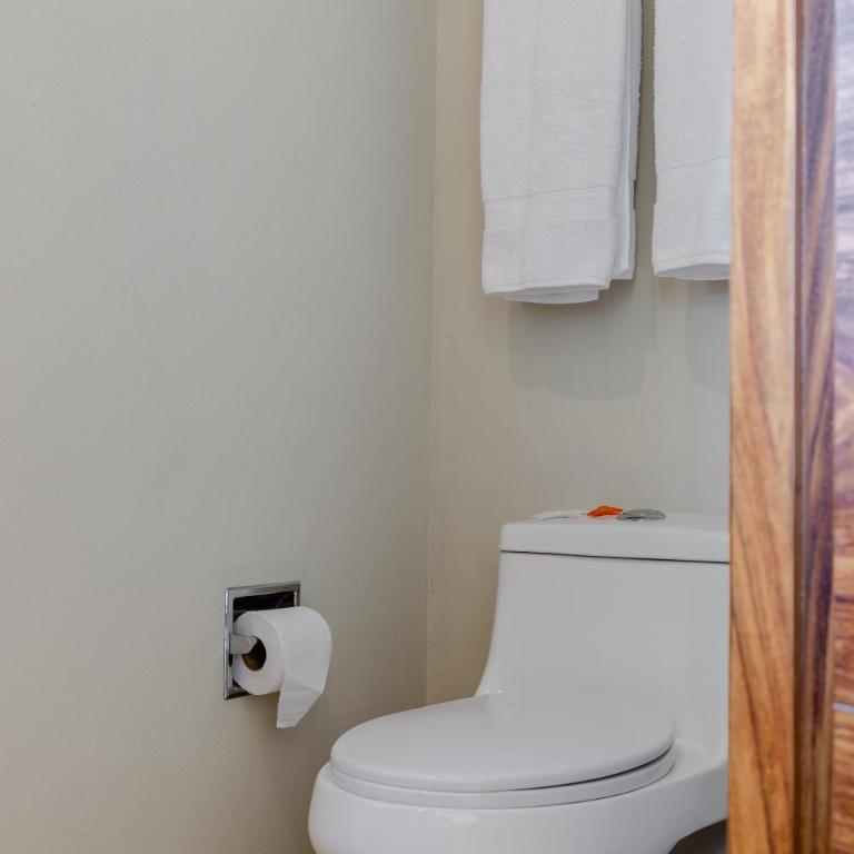Stunning Park View Suites - King Studio - 1
