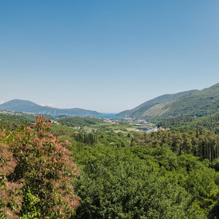 Lavender house with shared pool - Villa - 67