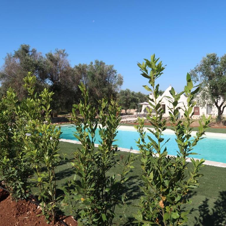 Dimora Deserto - Ancient Trullo with Private Pool and Olive Grove - Villa con 2 Camere da Letto - 23