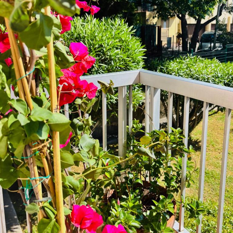 T2 with parking, Air-conditioned, 10 min from the beaches of Cannes - Appartement 1 Chambre - 19