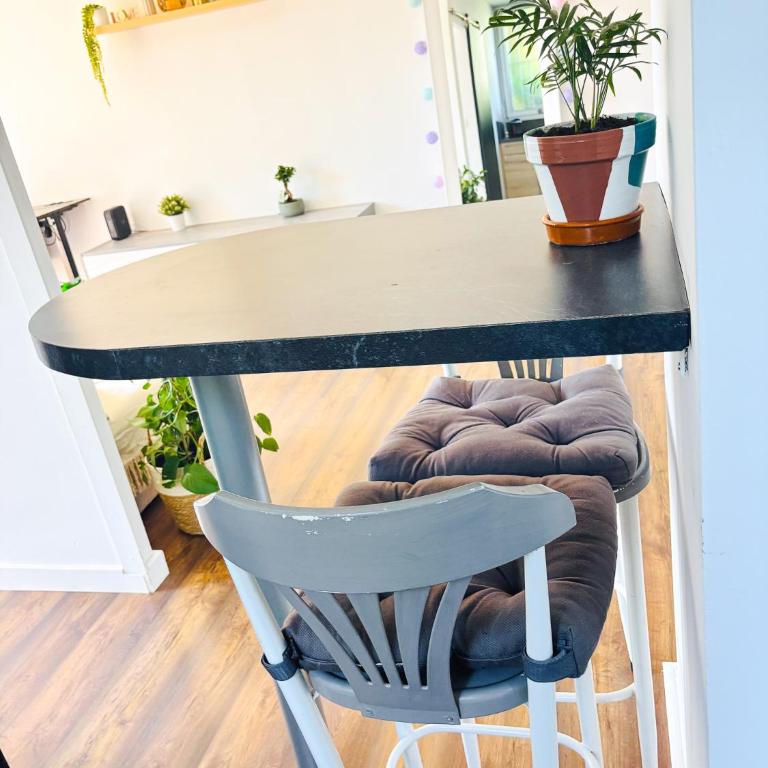 T2 with parking, Air-conditioned, 10 min from the beaches of Cannes - Appartement 1 Chambre - 38