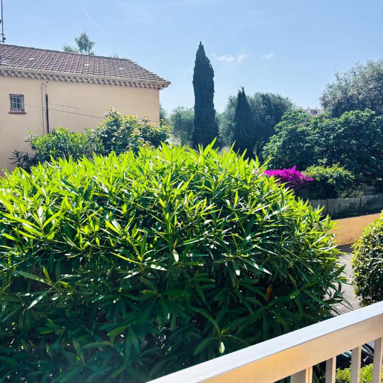 T2 with parking, Air-conditioned, 10 min from the beaches of Cannes - Appartement 1 Chambre - 80