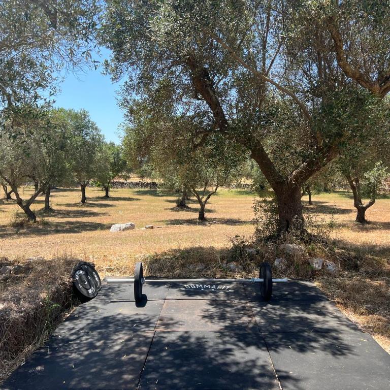 Dimora Deserto - Ancient Trullo with Private Pool and Olive Grove - Villa con 2 Camere da Letto - 56