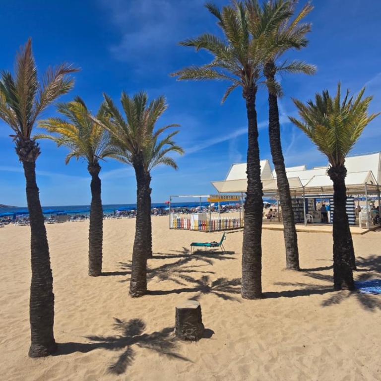 Wiky's Beach Life Benidorm - Apartamento de 1 dormitorio - 34