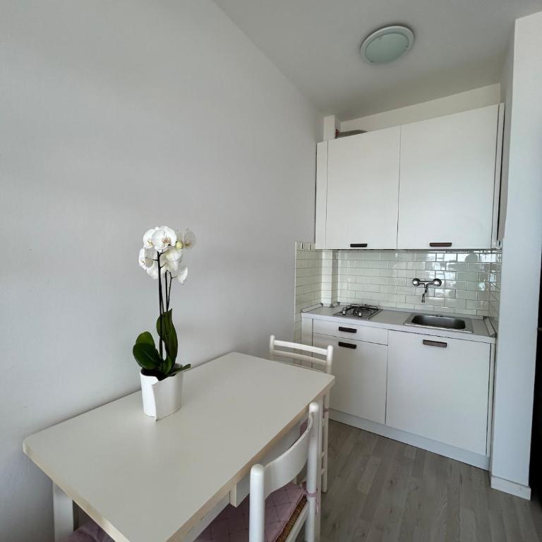 Mono International 24 - One-Bedroom Apartment - 9