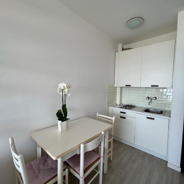 Mono International 24 - One-Bedroom Apartment - 12