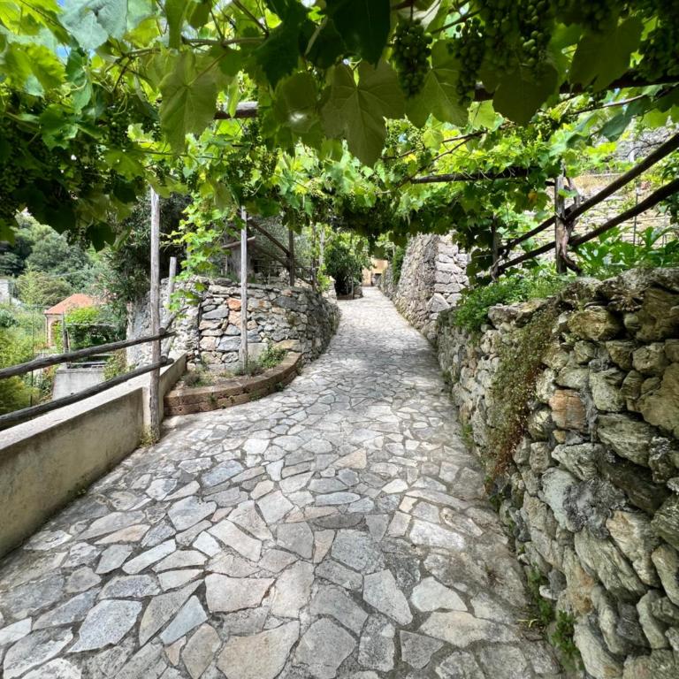 Casa Limone - Appartamento con 1 Camera da Letto - 8