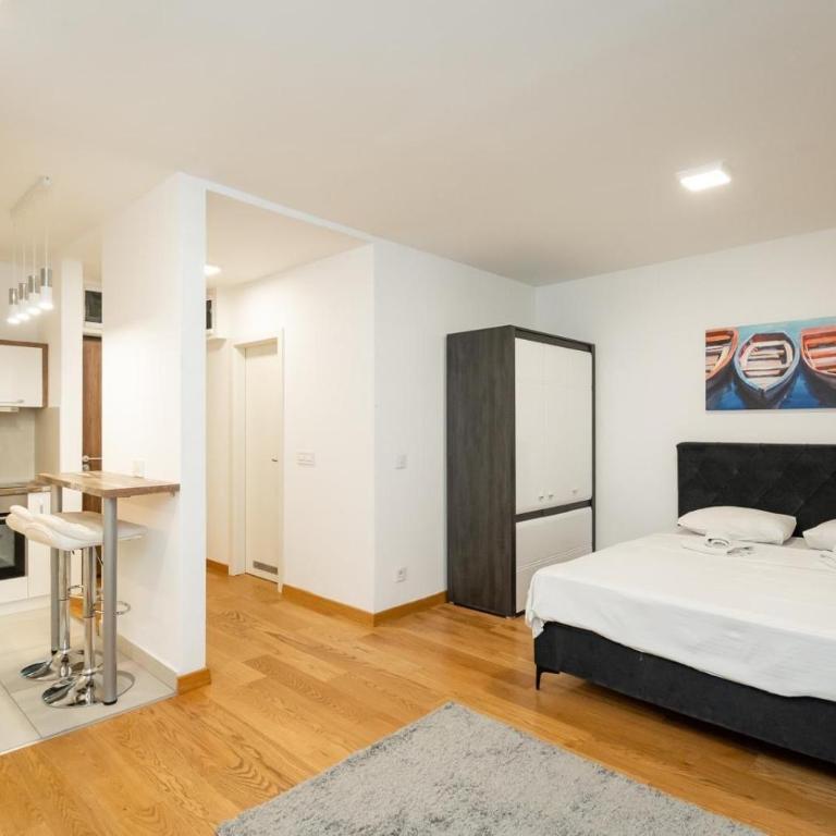 Albatros New Belgrade - Apartman sa 1 Spavaćom Sobom - 2