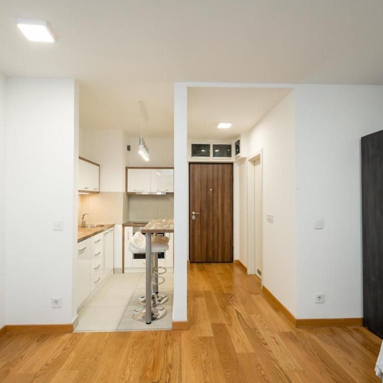 Albatros New Belgrade - Apartman sa 1 Spavaćom Sobom - 19