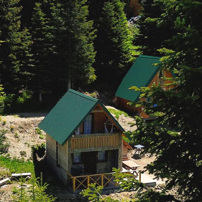 Mountain apartment-Komovi - Kuća sa 1 Spavaćom Sobom - 1