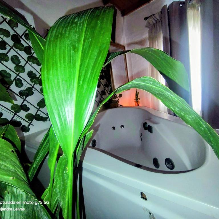 Reina Mar Jacuzzi Exclusivo - Casa con 1 dormitorio - 6