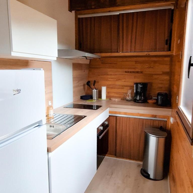Les Mélèzes Chalet - Chalet 1 Chambre - 4