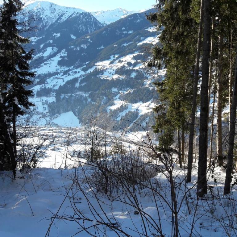 Flörl - Appartamento con Vista Montagna - 19