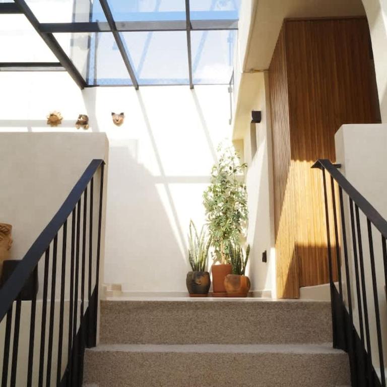 HUGE Decor Stylish Casona Condesa SkywatchRooftop - Apartment - 10