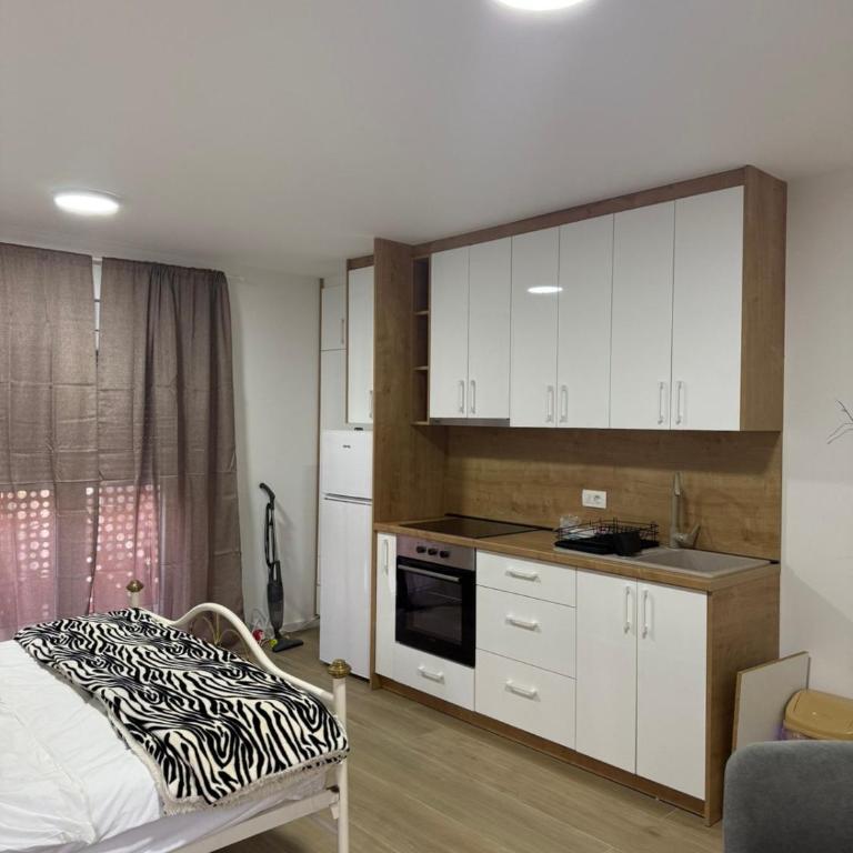 Sea Front Apartments Dobra Voda - Apartman sa 1 Spavaćom Sobom - 4