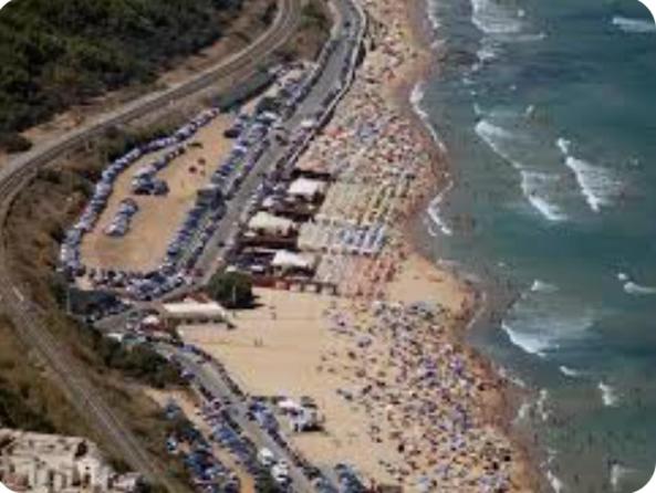 Solymar Sea Apartment - Appartamento - 22