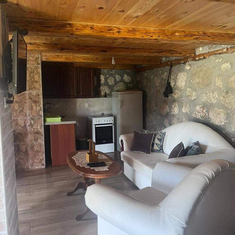Konak Vrela Žabljak - Two-Bedroom Apartment - 15