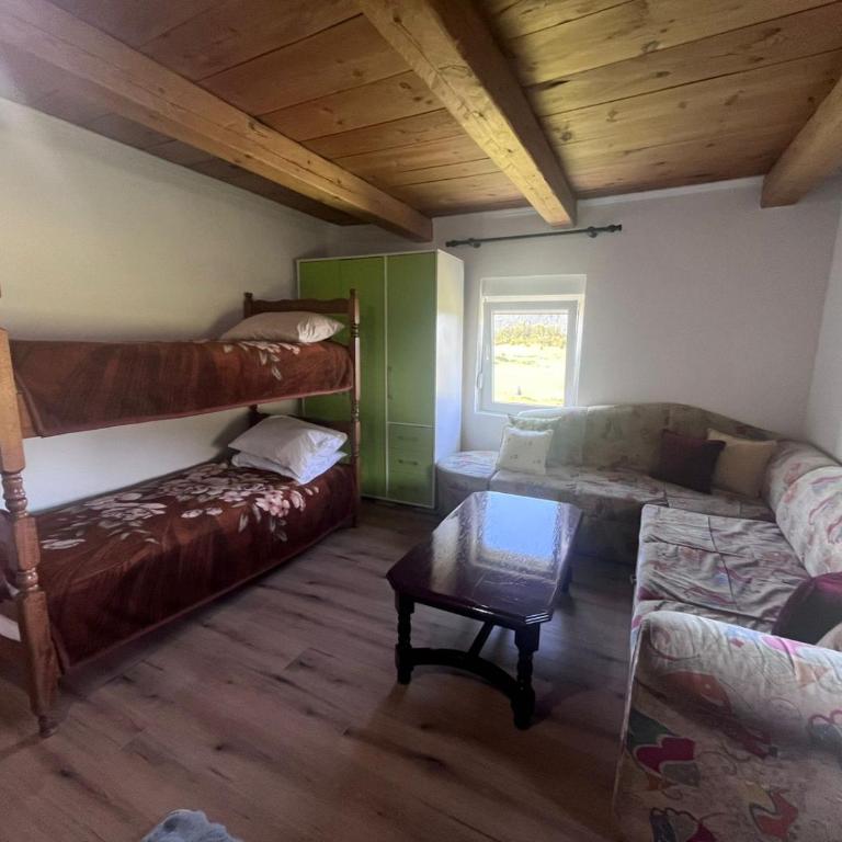 Konak Vrela Žabljak - Two-Bedroom Apartment - 20