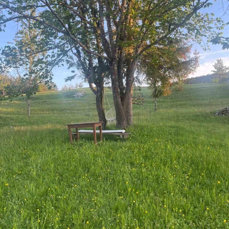 Konak Vrela Žabljak - Two-Bedroom Apartment - 27