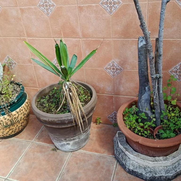 Casa RECREO - Haus mit 4 Schlafzimmern - 30