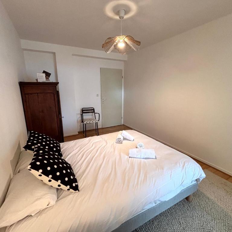 Le millésime Vesle Hypercentre 6 couchages - Appartement - 19