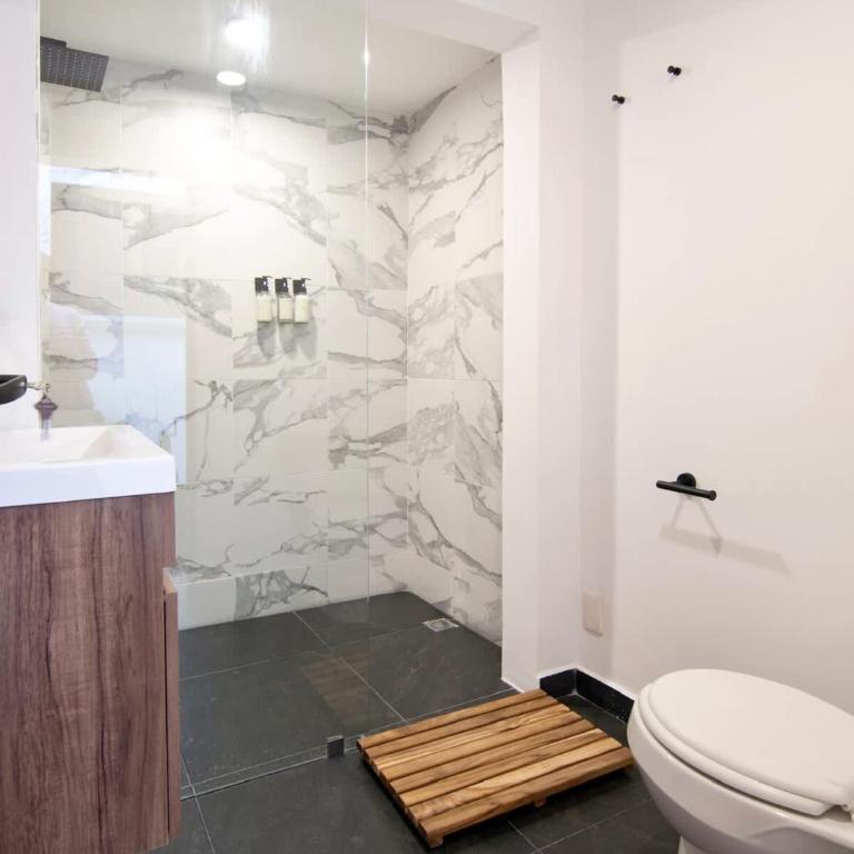 Breathtaking 9 BR Villa HUGE Rooftop w 4 AC Condesa - Villa 1 Chambre - 37