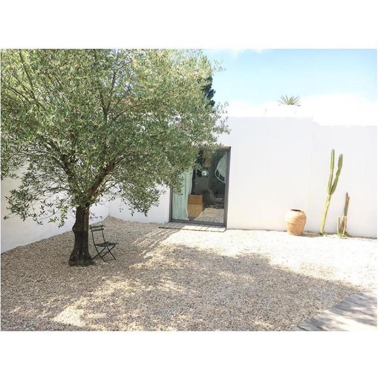 Villa Paz - Haus mit 4 Schlafzimmern - 16