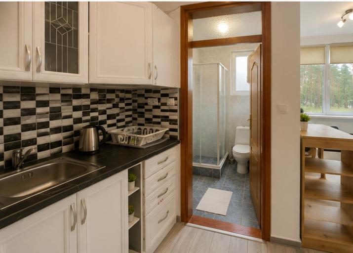 Apartmani Krčmarica 10 - One-Bedroom Apartment - 3