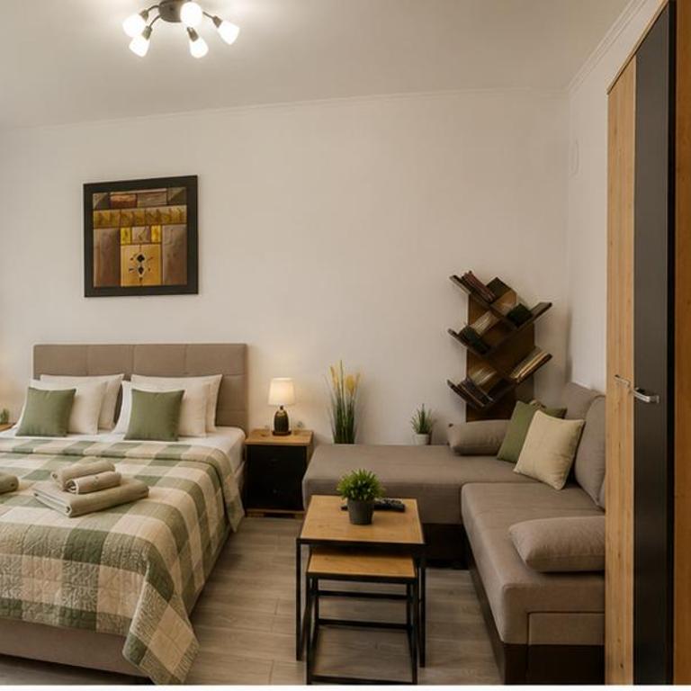 Apartmani Krčmarica 10 - One-Bedroom Apartment - 13