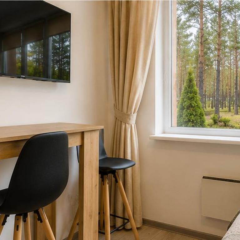 Apartmani Krčmarica 10 - One-Bedroom Apartment - 12